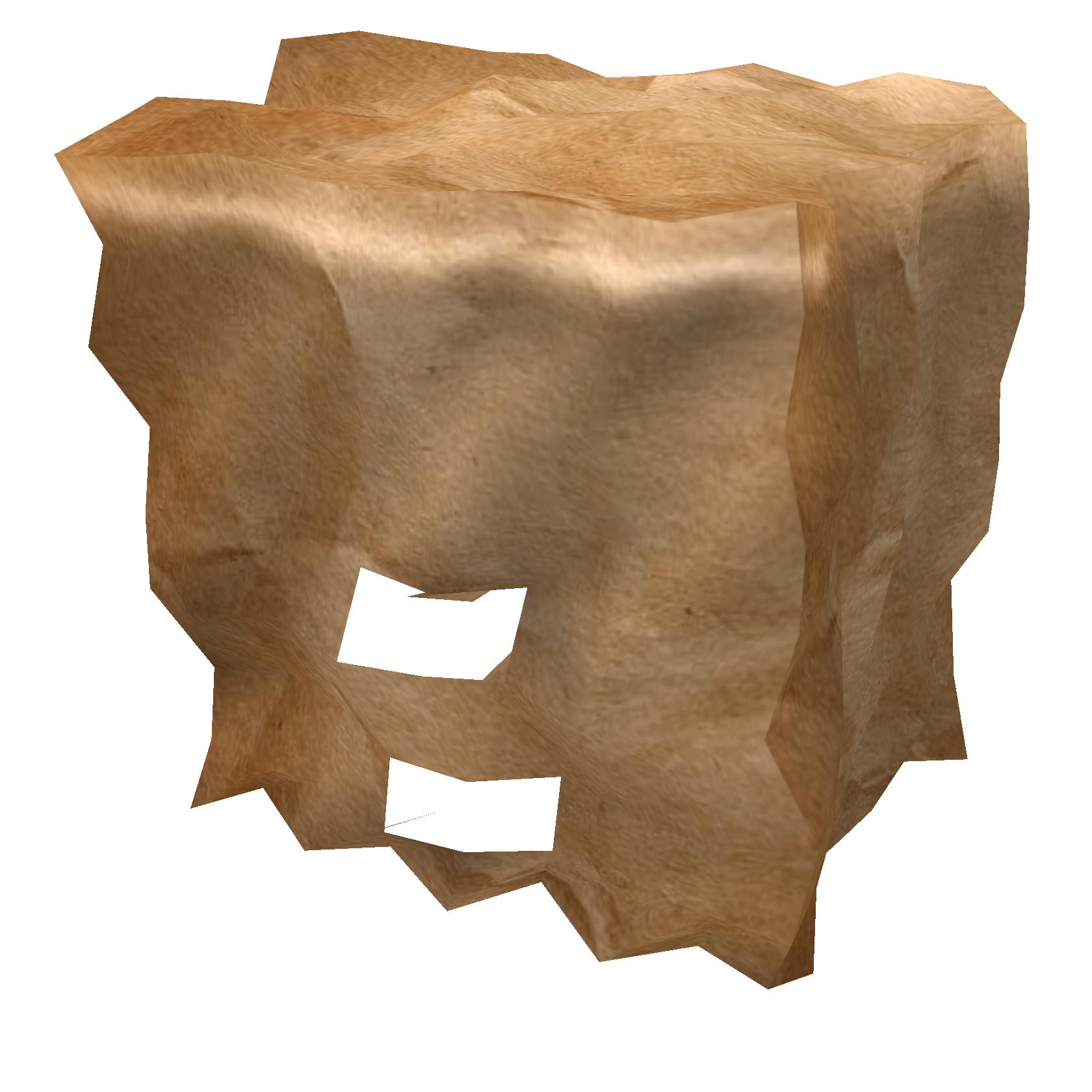 Paper Bag