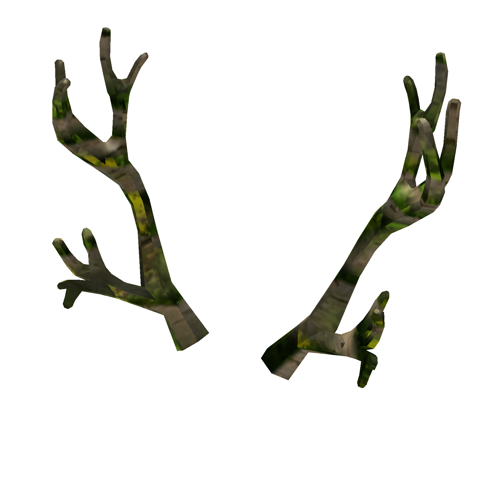 Wanwood Antlers