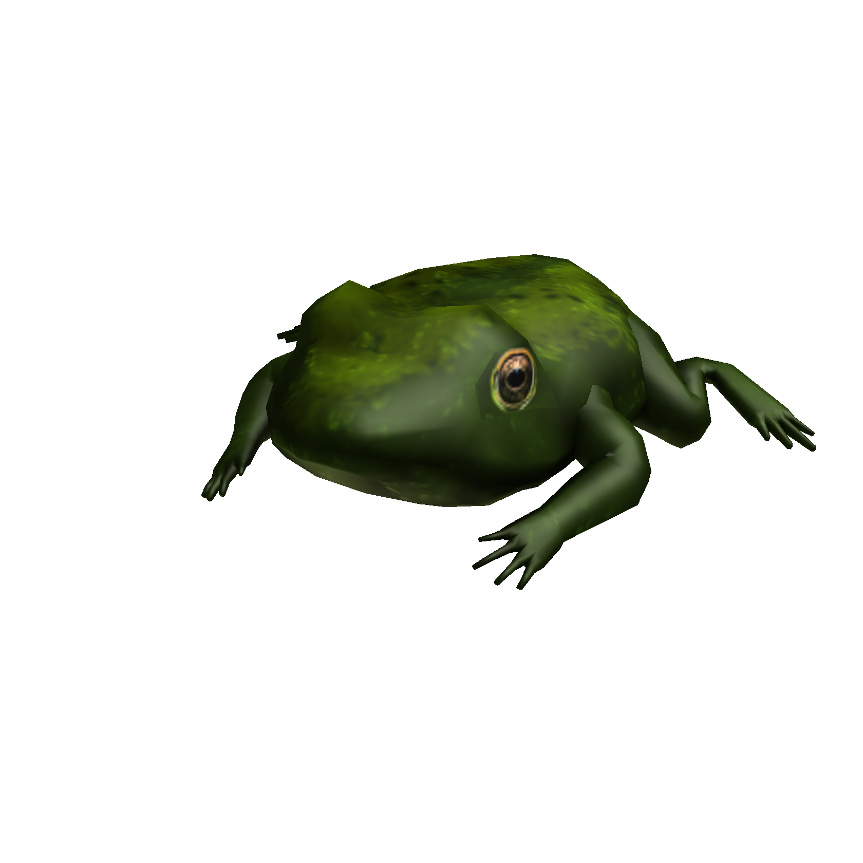 Warty Frog